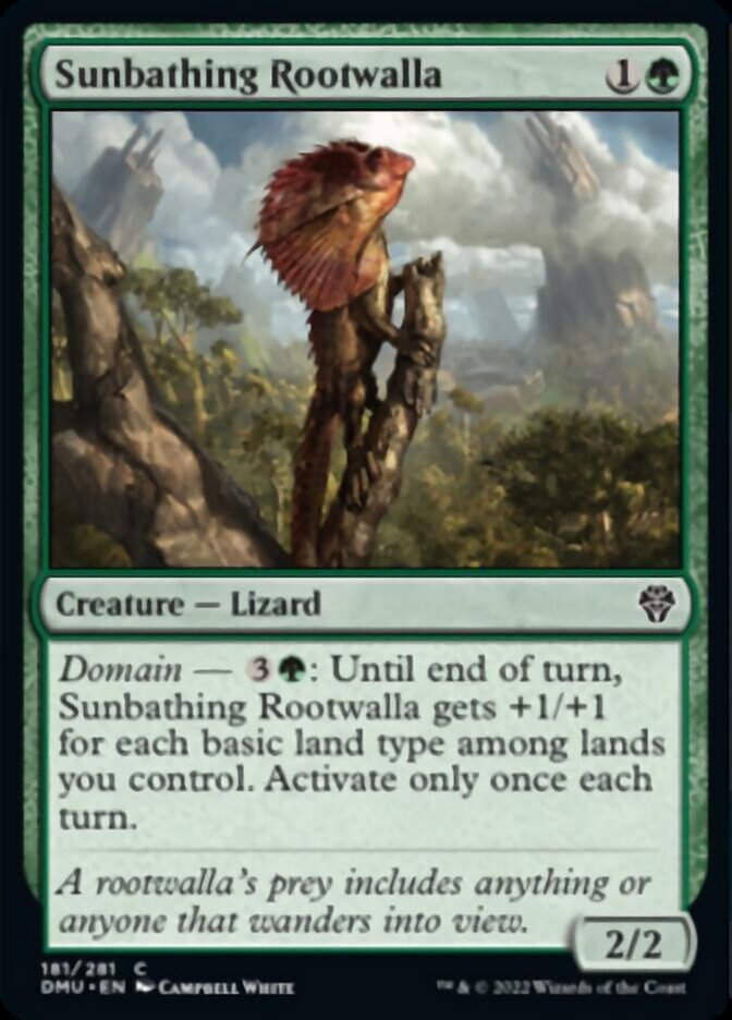 Sunbathing Rootwalla (DMU)