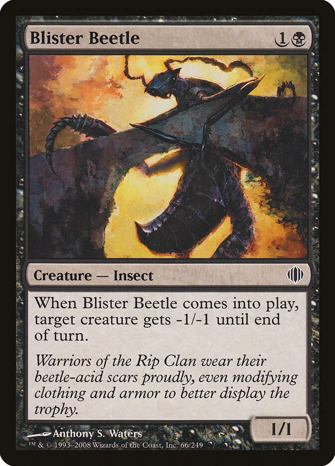 Blister Beetle (ALA) (66)