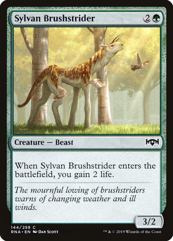 Sylvan Brushstrider (RNA) (144)