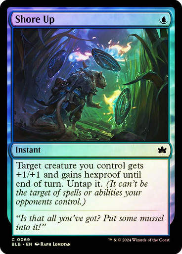 Shore Up (blb) (69) / Foil