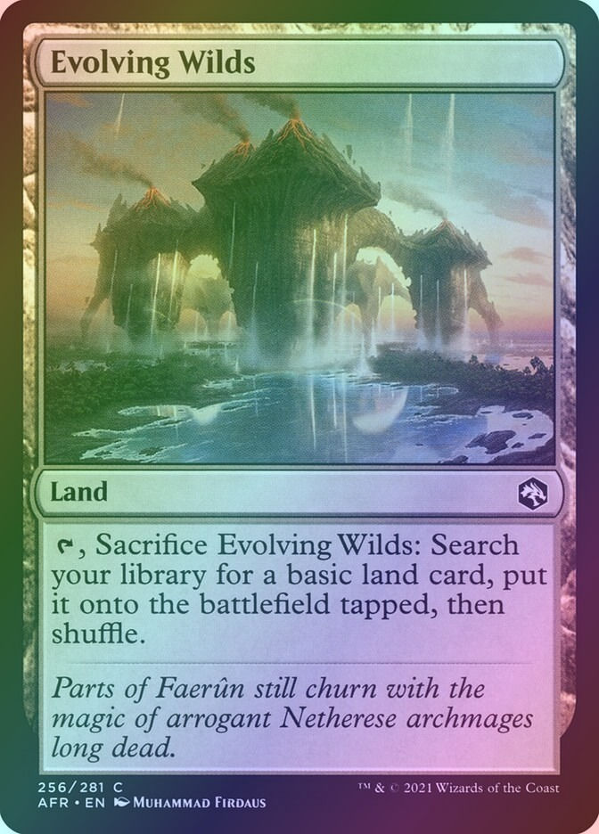 Evolving Wilds (AFR) (256) / Foil