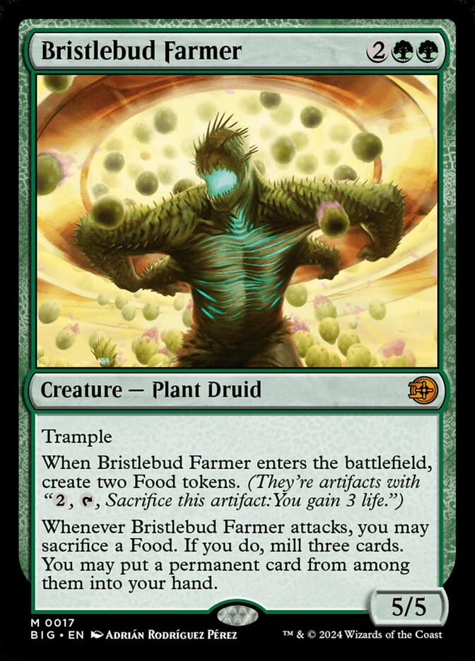 Bristlebud Farmer (BIG) (17)