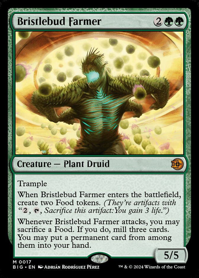 Bristlebud Farmer (BIG) (17)