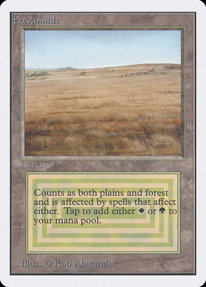 Savannah (2ED) (281)