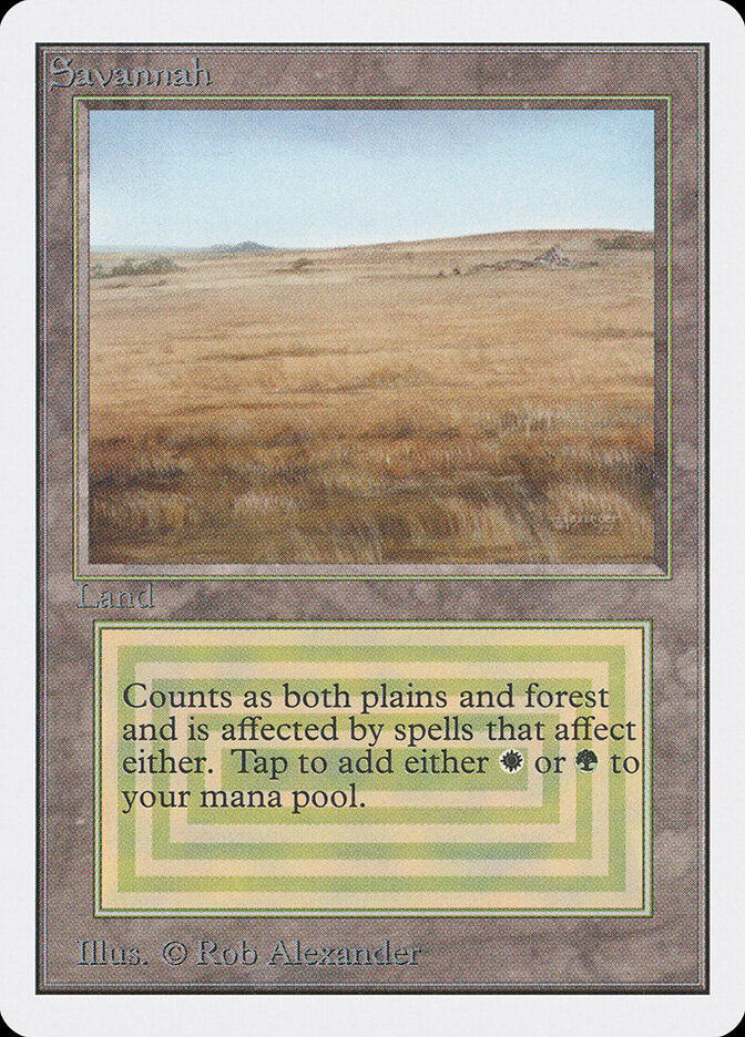 Savannah (2ED) (281)