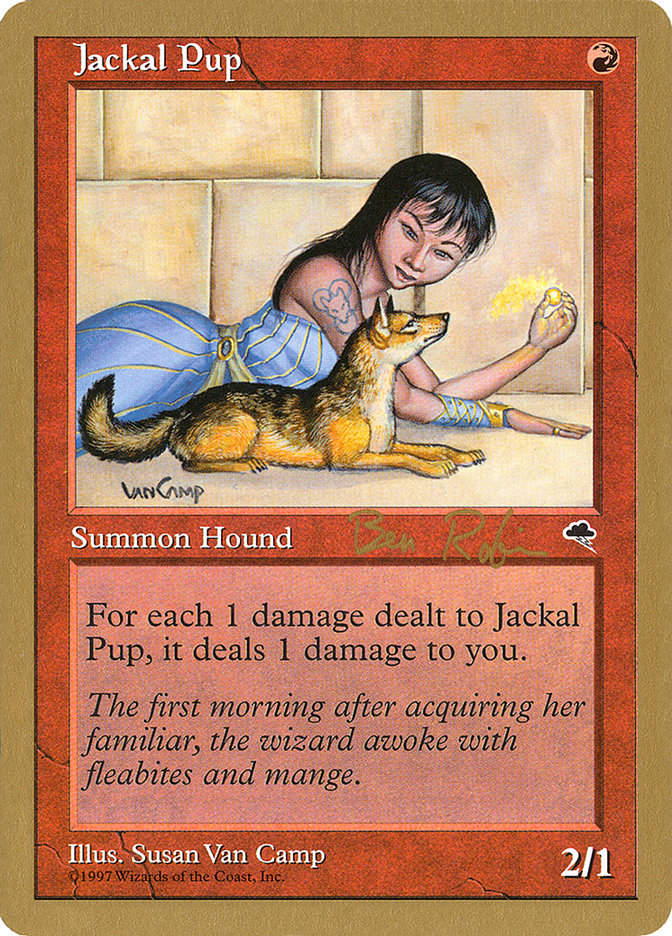 Jackal Pup (WC98) (br183)