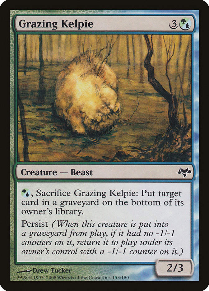 Grazing Kelpie (eve)