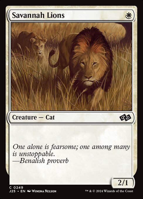 Savannah Lions (J25) (249)
