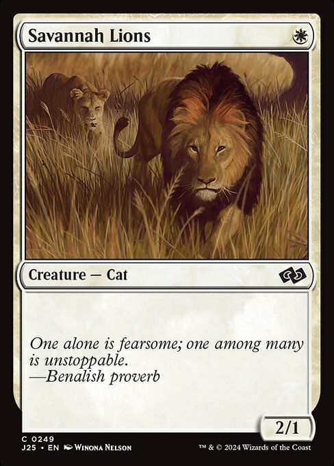 Savannah Lions (J25) (249)