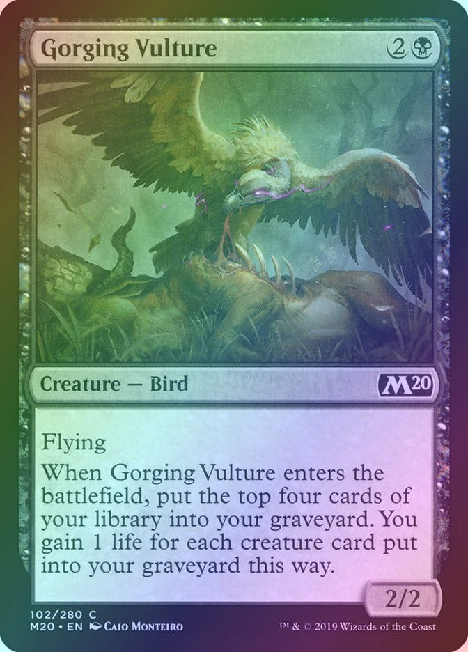 Gorging Vulture (M20) (102) / Foil