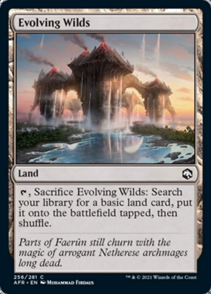 Evolving Wilds (AFR)