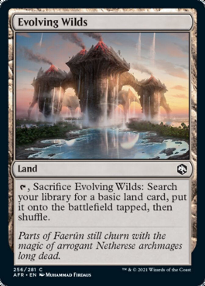 Evolving Wilds (AFR)