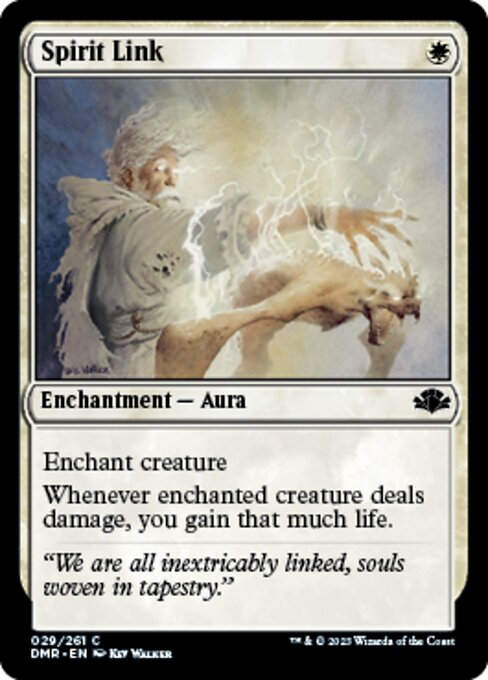 Spirit Link (DMR)