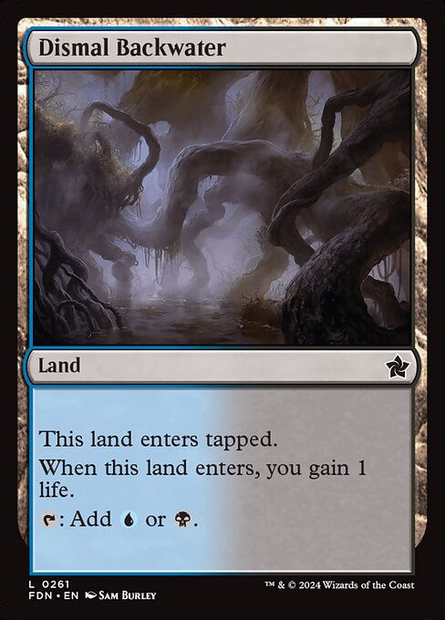 Dismal Backwater (FDN) (261)