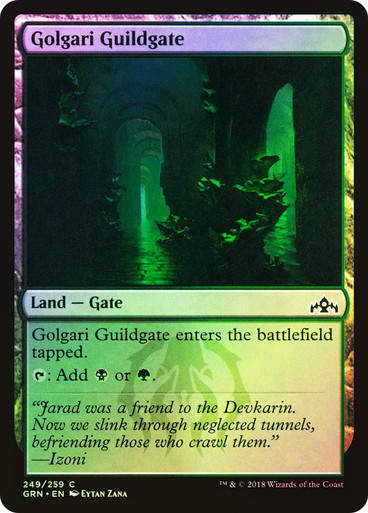 Golgari Guildgate (GRN) (249) / Foil