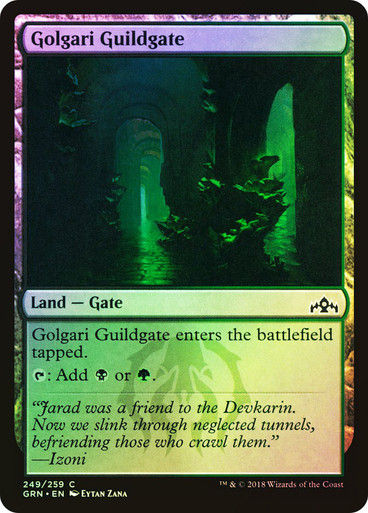 Golgari Guildgate (GRN) (249) / Foil