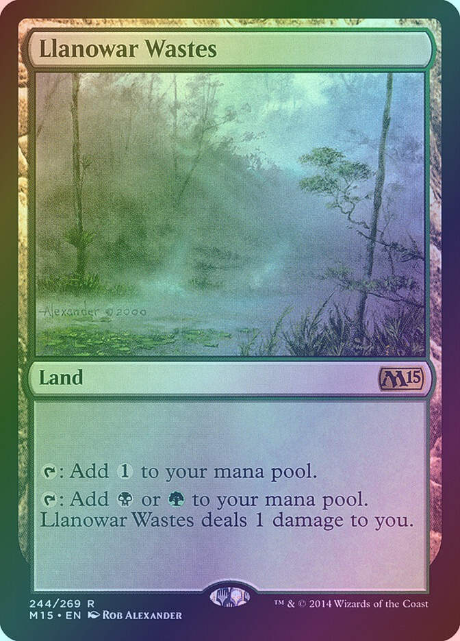 Llanowar Wastes (M15) (244) / Foil