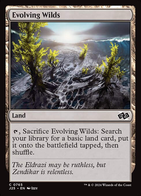 Evolving Wilds (J25) (765)