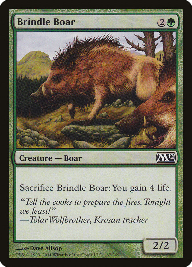 Brindle Boar (M12) (167)