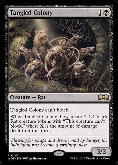 Tangled Colony (woe)
