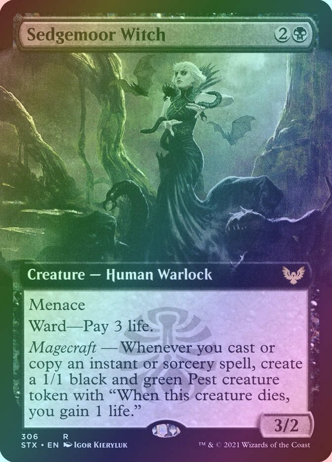 Sedgemoor Witch (STX) (306) / Extended Art / Foil