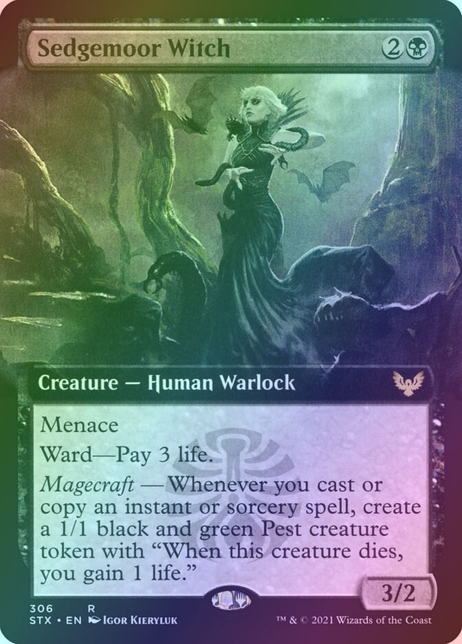 Sedgemoor Witch (STX) (306) / Extended Art / Foil