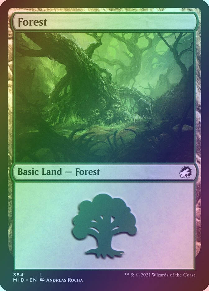 Forest (MID) (384) / Foil