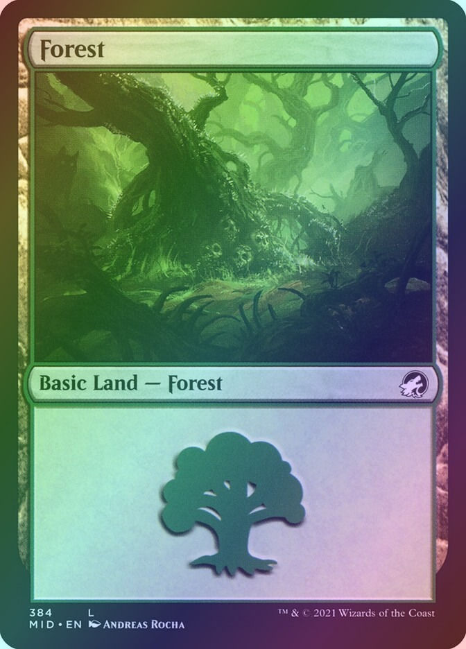 Forest (MID) (384) / Foil
