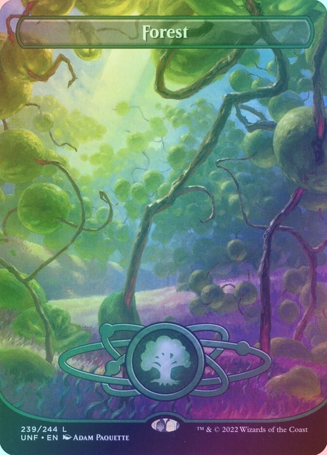Forest (UNF) (239) / Borderless / Foil