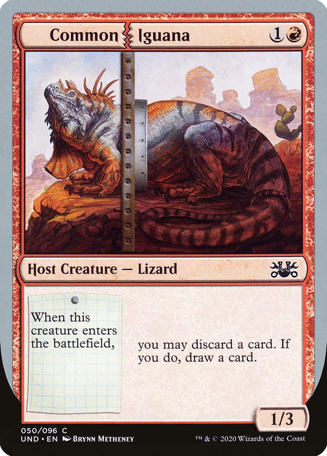 Common Iguana (UND) (50)