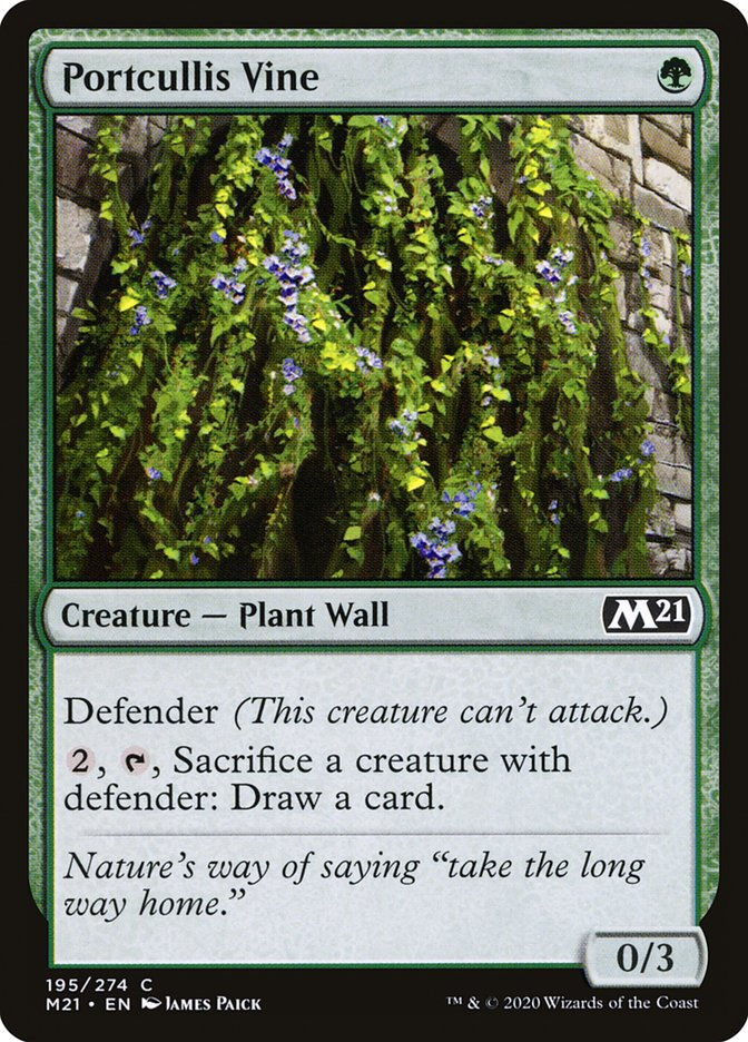 Portcullis Vine (M21) (195)