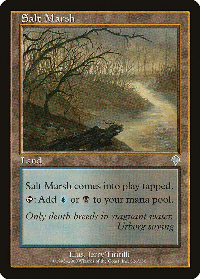 Salt Marsh (INV) (326)
