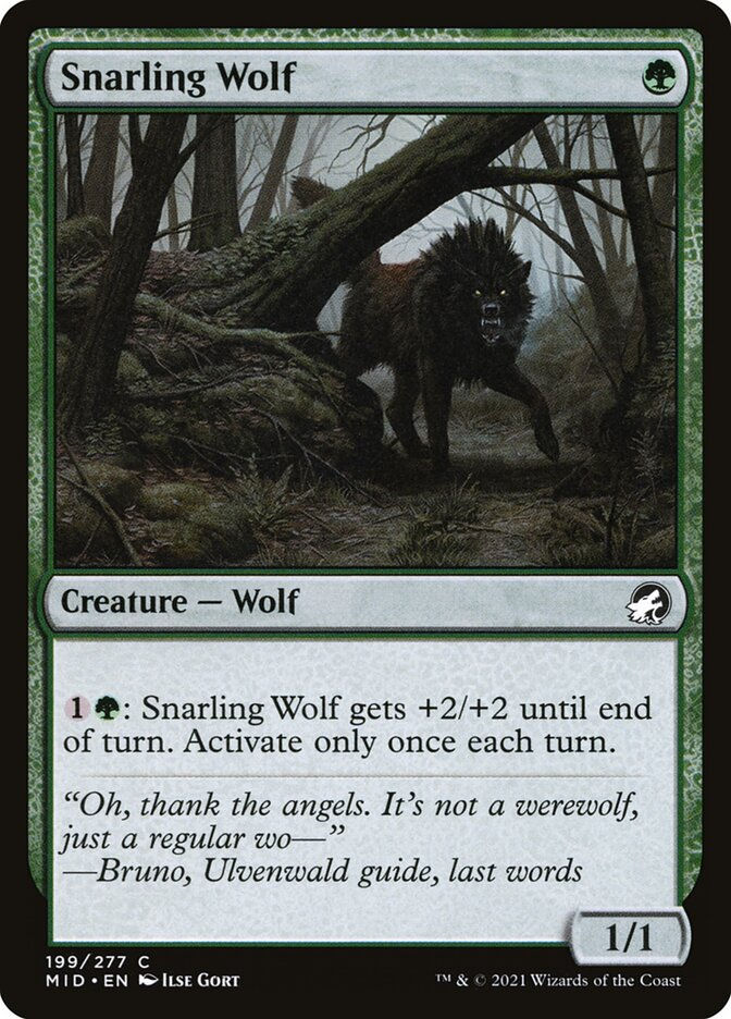 Snarling Wolf (MID) (199)
