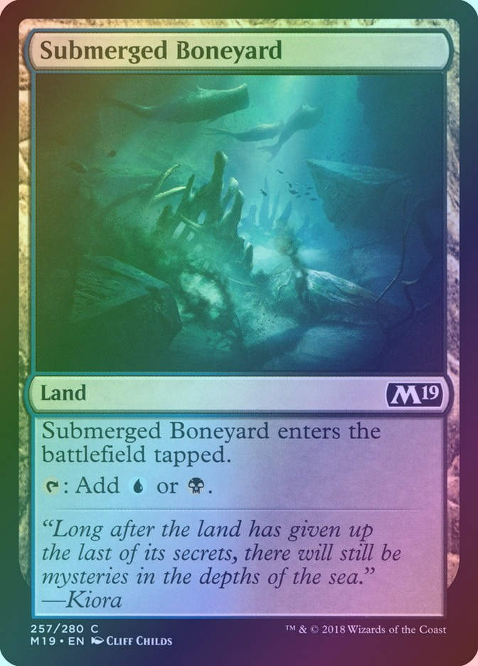 Submerged Boneyard (M19) (257) / Foil