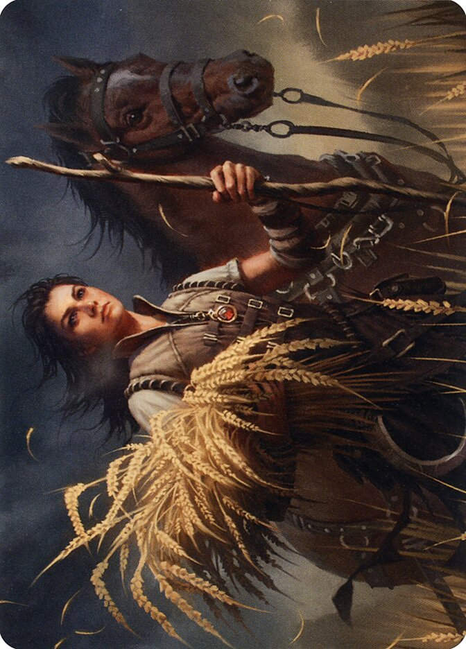 Ambitious Farmhand (AMID) (11) / Firma Dorada