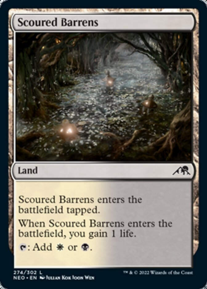 Scoured Barrens (NEO)