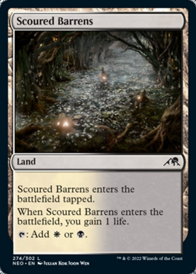 Scoured Barrens (NEO)