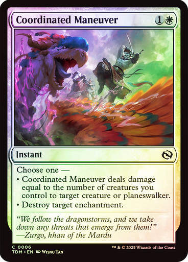 Coordinated Maneuver (TDM) (6) / Foil