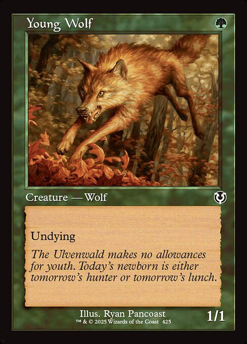 Young Wolf (INR) (425) / Retro Frame