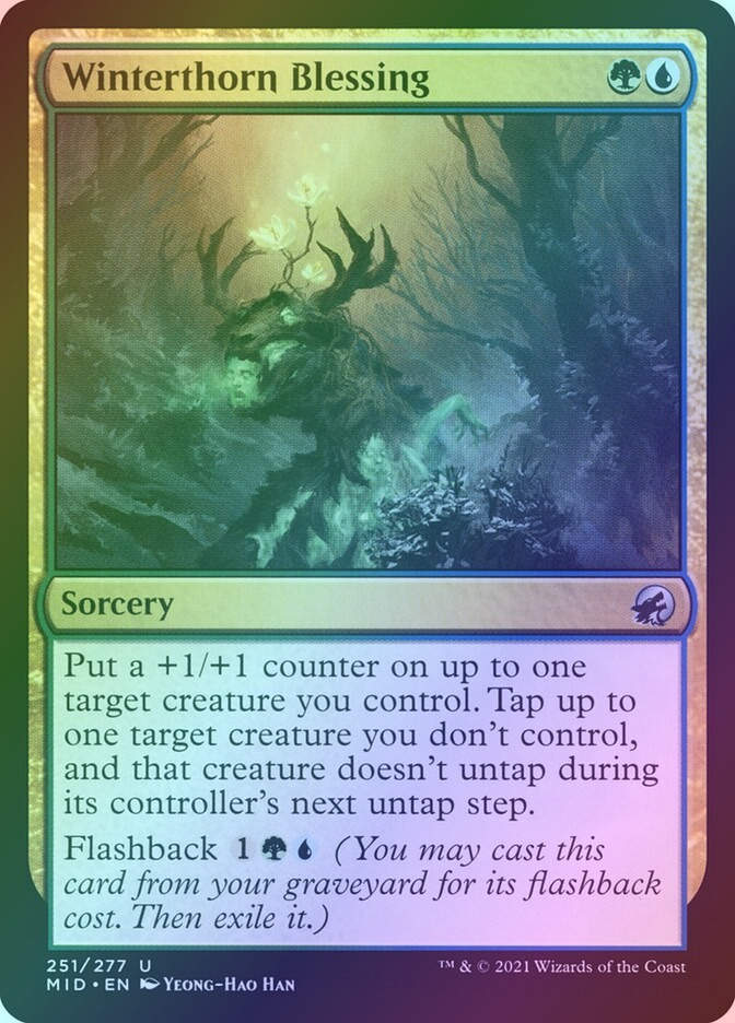 Winterthorn Blessing (MID) (251) / Foil
