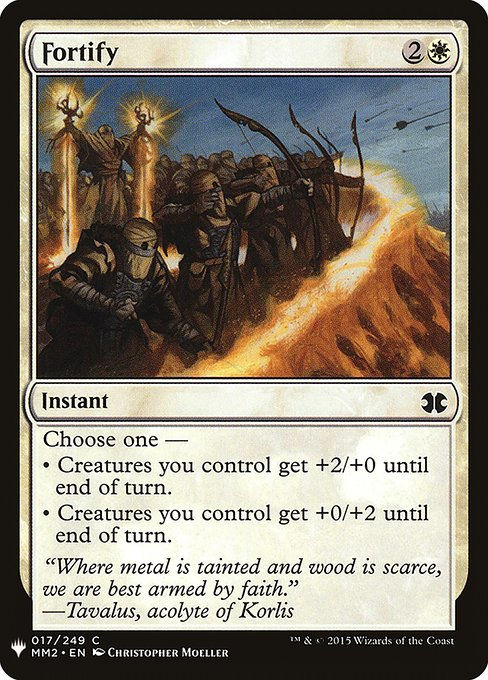 Fortify (PLST) (MM2-17)