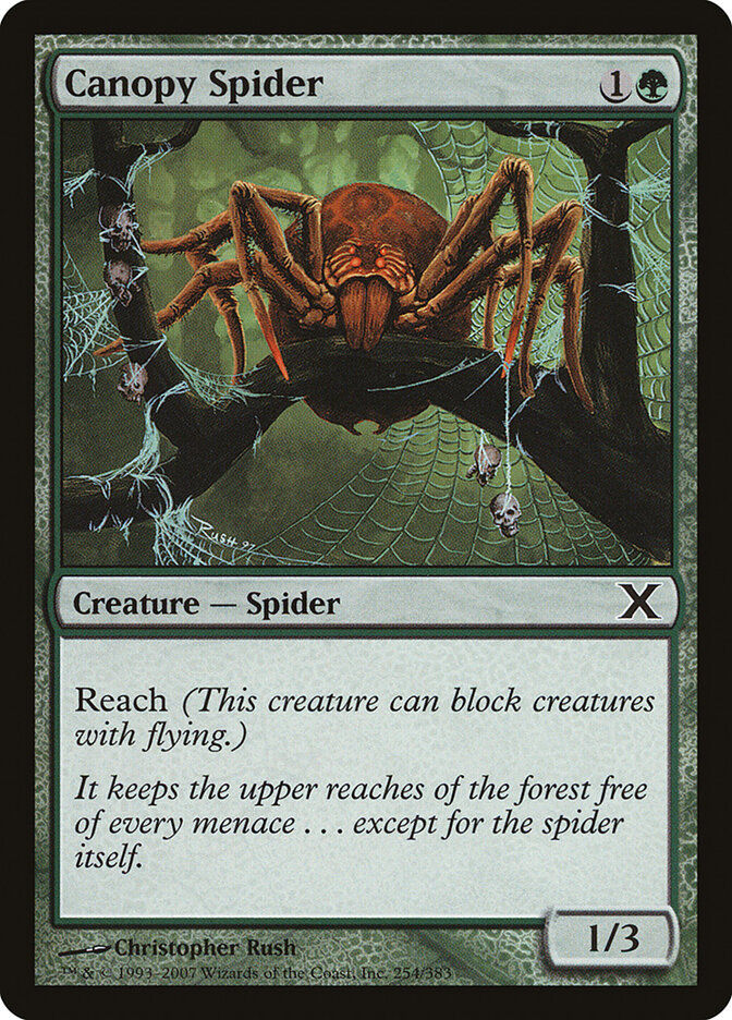 Canopy Spider (10E) (254)