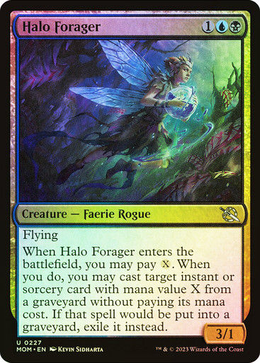 Halo Forager (mom) / Foil