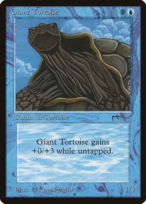 Giant Tortoise (ARN) (15)
