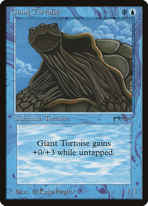 Giant Tortoise (ARN) (15)