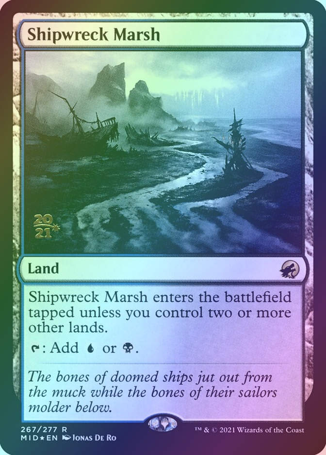 Shipwreck Marsh (PMID) (267s) / Foil