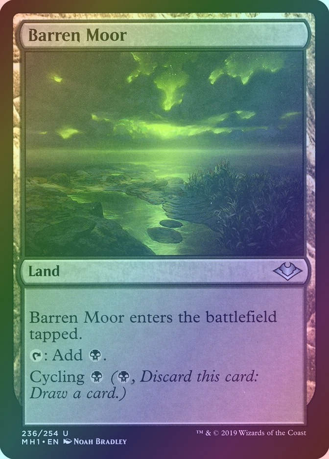 Barren Moor (MH1) (236) / Foil