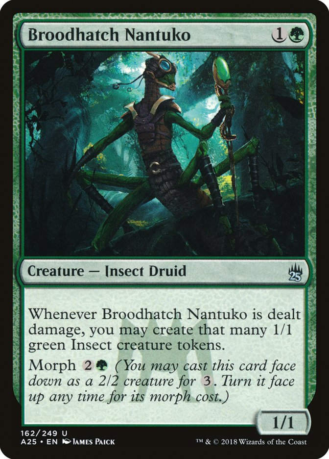 Broodhatch Nantuko (A25) (162)