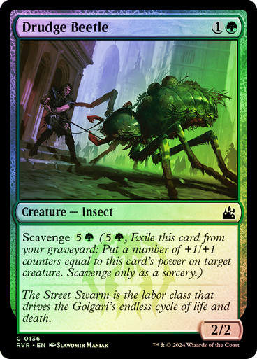 Drudge Beetle (rvr) (136) / Foil