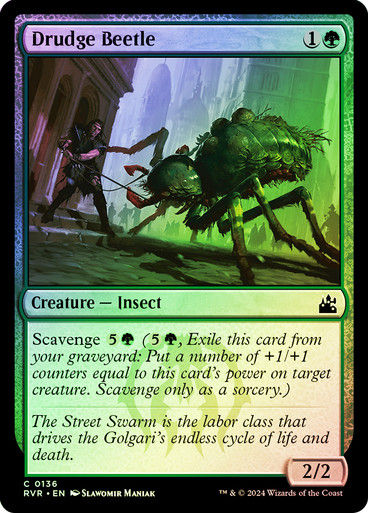 Drudge Beetle (rvr) (136) / Foil